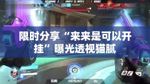 限时分享“来来是可以开挂”曝光透视猫腻