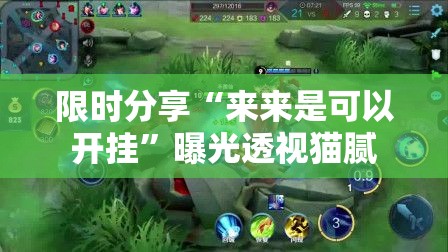 限时分享“来来是可以开挂	”曝光透视猫腻