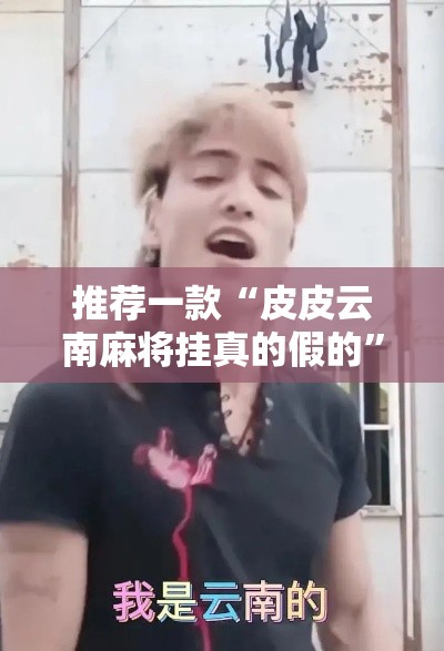 推荐一款“皮皮云南麻将挂真的假的”可以开挂软件