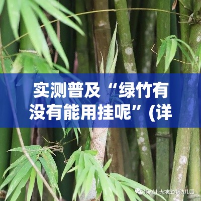 实测普及“绿竹有没有能用挂呢	”(详细辅助脚本)