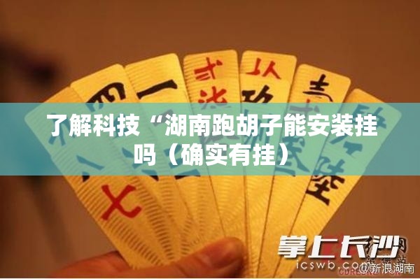 了解科技“湖南跑胡子能安装挂吗（确实有挂）