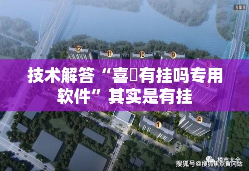 技术解答“喜園有挂吗专用软件”其实是有挂