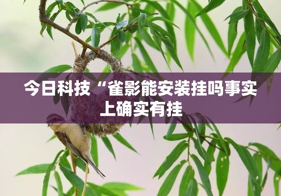 今日科技“雀影能安装挂吗事实上确实有挂