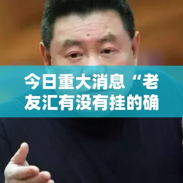 今日重大消息“老友汇有没有挂的确有挂可以辅助
