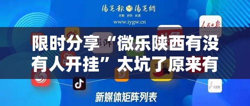 限时分享“微乐陕西有没有人开挂”太坑了原来有挂