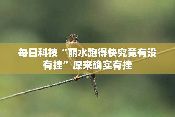 每日科技“丽水跑得快究竟有没有挂	”原来确实有挂