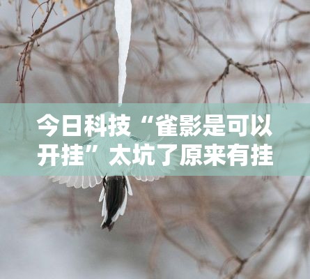 今日科技“雀影是可以开挂”太坑了原来有挂