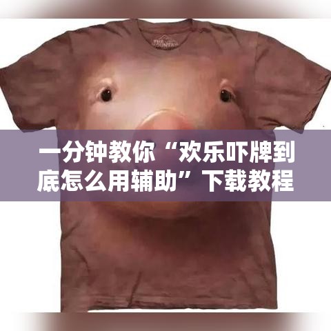 一分钟教你“欢乐吓牌到底怎么用辅助	”下载教程
