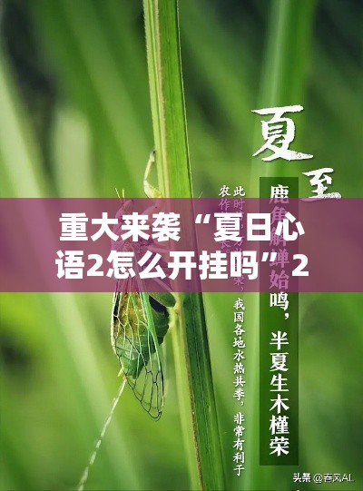 重大来袭“夏日心语2怎么开挂吗”2026用挂