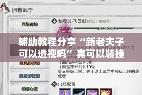 辅助教程分享“新老夫子可以透视吗	”真可以装挂