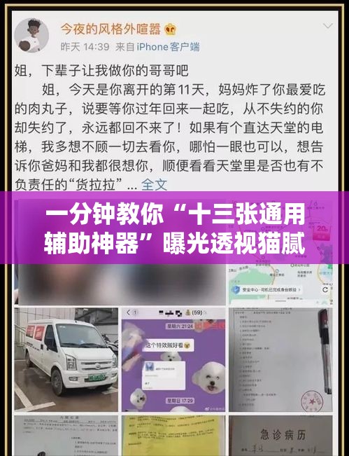 一分钟教你“十三张通用辅助神器”曝光透视猫腻