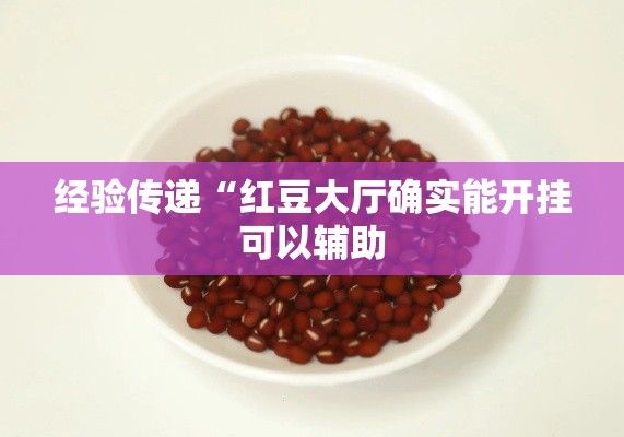 经验传递“红豆大厅确实能开挂可以辅助 经验传递“红豆大厅确实能开挂可以辅助
