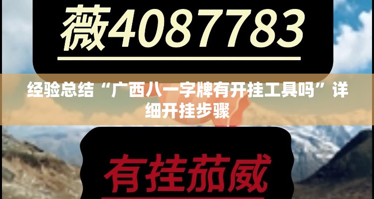经验总结“广西八一字牌有开挂工具吗”详细开挂步骤