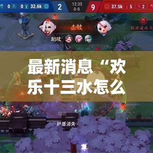 最新消息“欢乐十三水怎么辅助”太坑了真的有挂