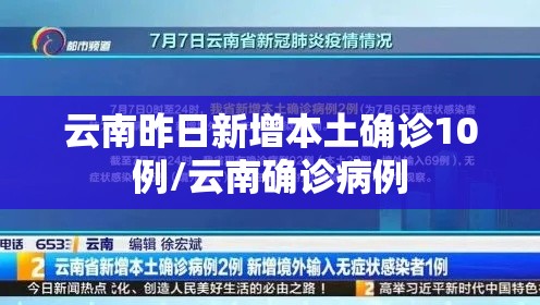 云南昨日新增本土确诊10例/云南确诊病例