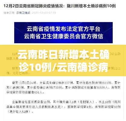 云南昨日新增本土确诊10例/云南确诊病例 云南昨日新增本土确诊10例/云南确诊病例