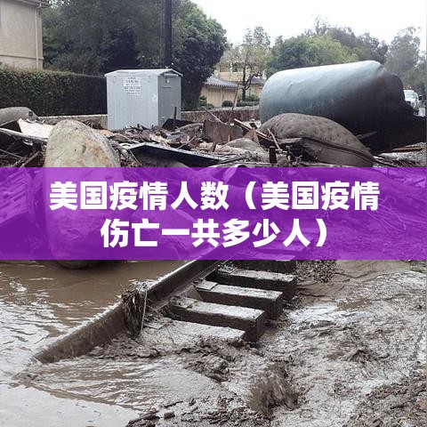 美国疫情人数（美国疫情伤亡一共多少人）