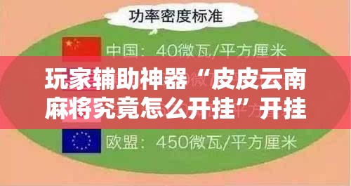 玩家辅助神器“皮皮云南麻将究竟怎么开挂”开挂必胜方法