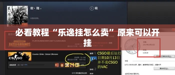 必看教程“乐逸挂怎么卖	”原来可以开挂