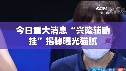今日重大消息“兴隆辅助挂”揭秘曝光猫腻