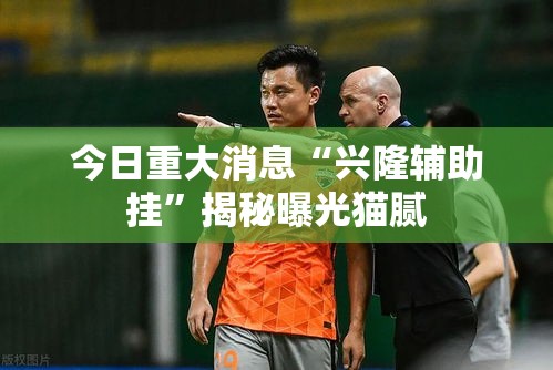 今日重大消息“兴隆辅助挂”揭秘曝光猫腻
