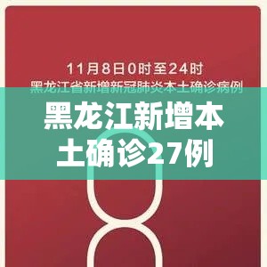 黑龙江新增本土确诊27例（黑龙江新增7例确诊 81例无症状）