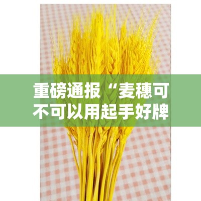 重磅通报“麦穗可不可以用起手好牌挂真可以装挂
