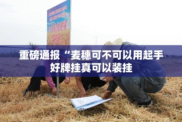 重磅通报“麦穗可不可以用起手好牌挂真可以装挂 重磅通报“麦穗可不可以用起手好牌挂真可以装挂