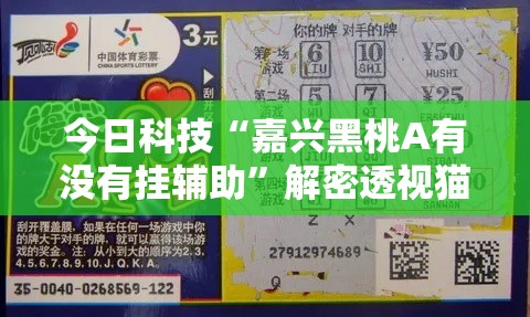 今日科技“嘉兴黑桃A有没有挂辅助”解密透视猫腻