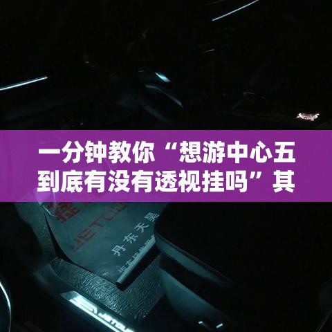 一分钟教你“想游中心五到底有没有透视挂吗”其实是有挂