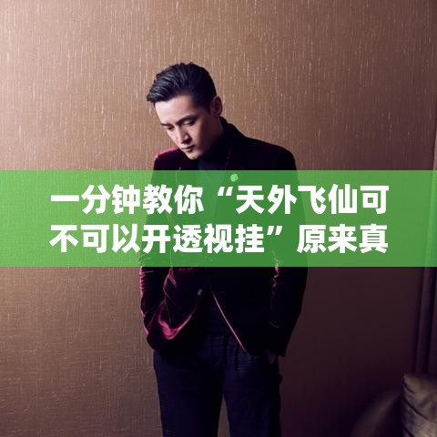 一分钟教你“天外飞仙可不可以开透视挂”原来真的有挂