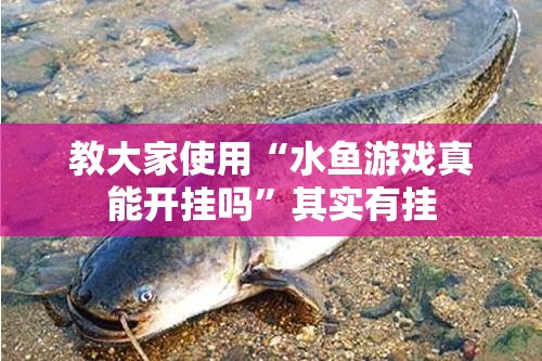 教大家使用“水鱼游戏真能开挂吗”其实有挂