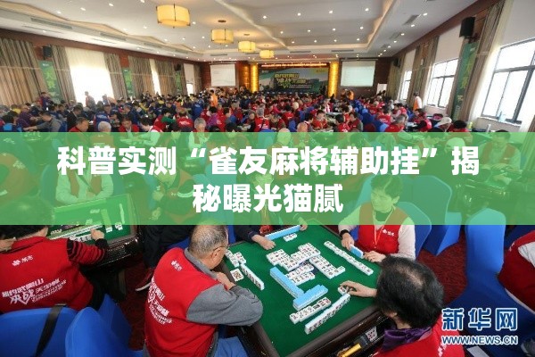 科普实测“雀友麻将辅助挂	”揭秘曝光猫腻