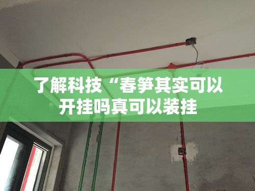 了解科技“春笋其实可以开挂吗真可以装挂 了解科技“春笋其实可以开挂吗真可以装挂