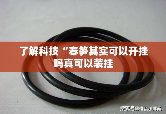 了解科技“春笋其实可以开挂吗真可以装挂 了解科技“春笋其实可以开挂吗真可以装挂