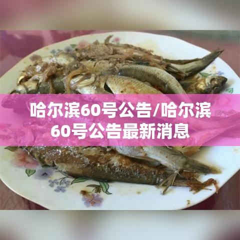 哈尔滨60号公告/哈尔滨60号公告最新消息