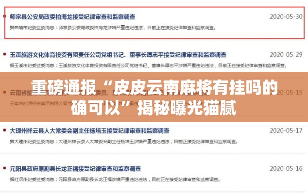 重磅通报“皮皮云南麻将有挂吗的确可以”揭秘曝光猫腻