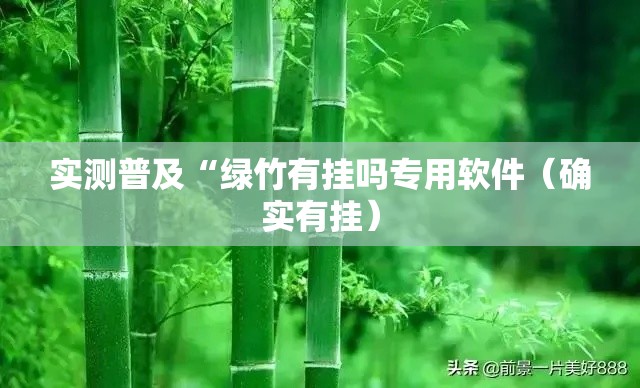 实测普及“绿竹有挂吗专用软件（确实有挂）