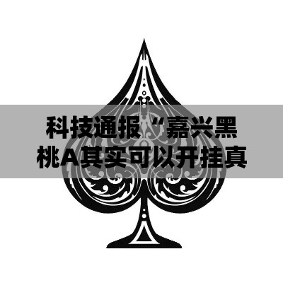 科技通报“嘉兴黑桃A其实可以开挂真可以装挂