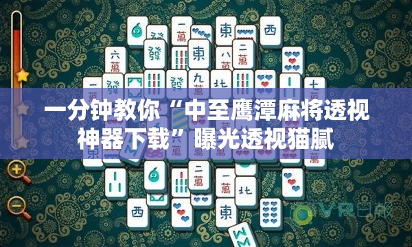 一分钟教你“中至鹰潭麻将透视神器下载”曝光透视猫腻
