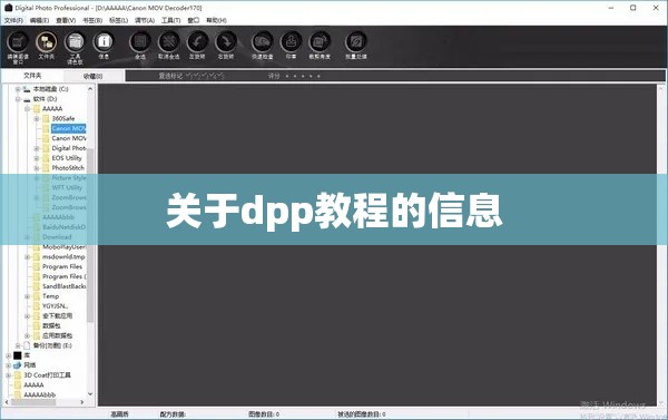 关于dpp教程的信息