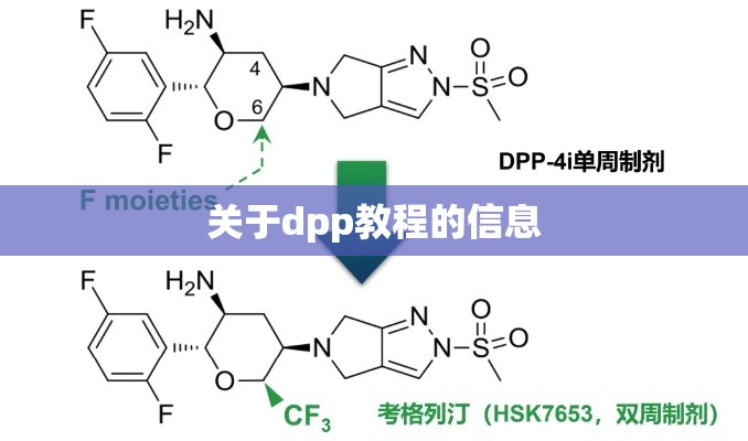 关于dpp教程的信息