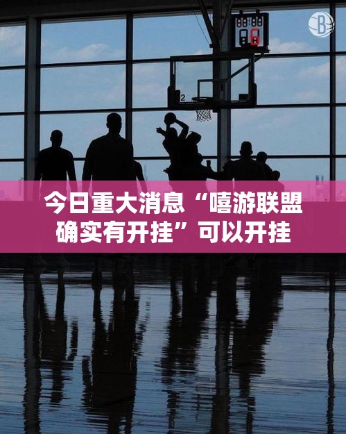 今日重大消息“嘻游联盟确实有开挂	”可以开挂