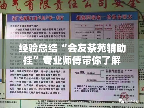 经验总结“会友茶苑辅助挂”专业师傅带你了解