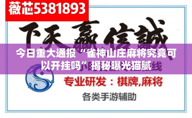 今日重大通报“雀神山庄麻将究竟可以开挂吗”揭秘曝光猫腻