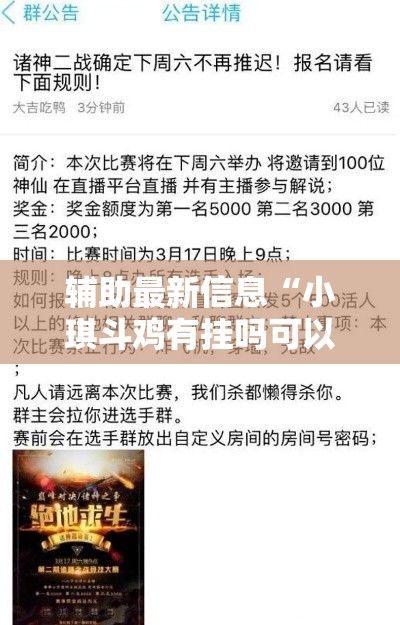 辅助最新信息“小琪斗鸡有挂吗可以开挂的”真的有挂