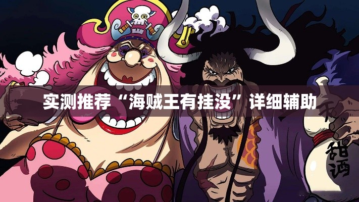 实测推荐“海贼王有挂没”详细辅助
