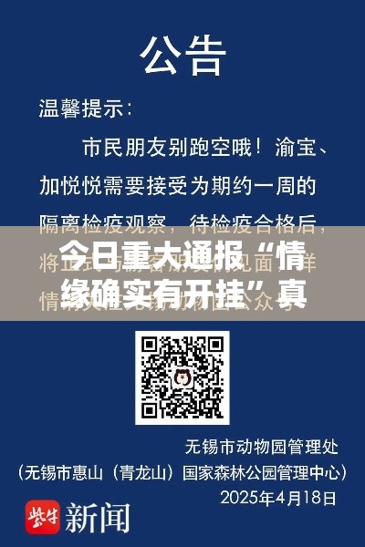 今日重大通报“情缘确实有开挂”真可以装挂