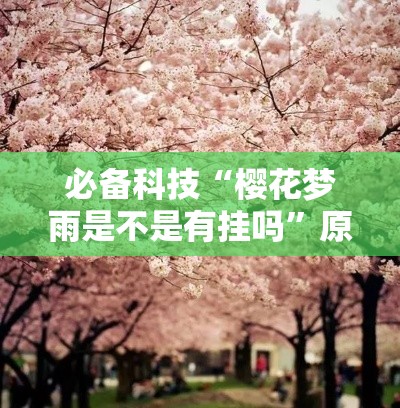 必备科技“樱花梦雨是不是有挂吗”原来有挂