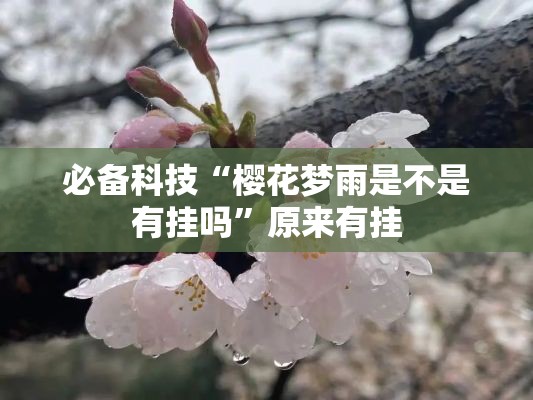 必备科技“樱花梦雨是不是有挂吗	”原来有挂